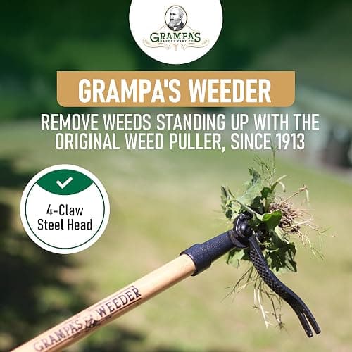 Grampa's Weeder - The Original Stand Up Weed Puller Tool with Long Handle - Made with Real Bamboo & 4-Claw Steel Head Design - Easily Remove Weeds Without Bending, Pulling, or Kneeling. thumbnail 2