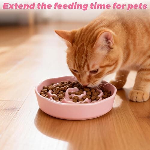 Ghligna 4Pcs Ceramic Cat Slow Food Feeder, 6 Inch Slow Feeder for Small Dogs, Cat Food Bowl for Dry Food and Wet Food, White and Pink thumbnail 6