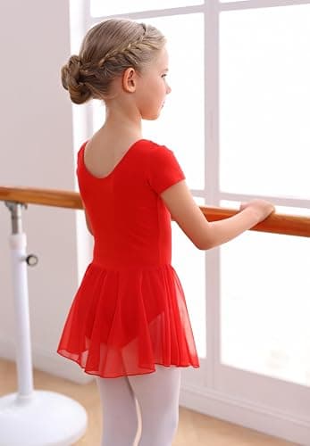 MdnMd Toddler Ballet Leotards for Girls Dance Leotards with Skirt Gymnastic Ballerina Outfit Dress Classic Short Sleeve thumbnail 2
