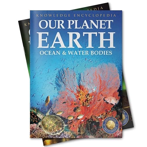 Our Planet Earth: Collection of 6 Books (Knowledge Encyclopedia For Children) thumbnail 4