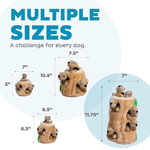 Outward Hound Hide A Squirrel Plush Dog Toy Puzzle, XL thumbnail 5