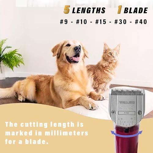 3 Pack Detachable Adjustable Pet Dog Grooming Clipper 5-in-1 Blade Compatible with WAHL Professional Animal Blade Arco, Bravura, Chromado, Creativa, Figura, and Motion Pet, Dog, and Horse Clippers thumbnail 4