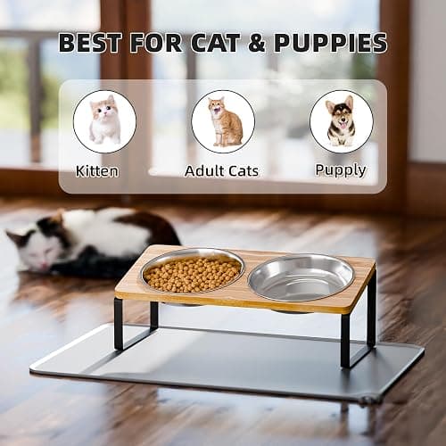 Elevated Whisker Friendly Cat Bowls, 15 Tilted Stand Anti Vomiting Raised Dishes for Food and Water, Stainless Steel Bowls for Cats and Puppy thumbnail 6