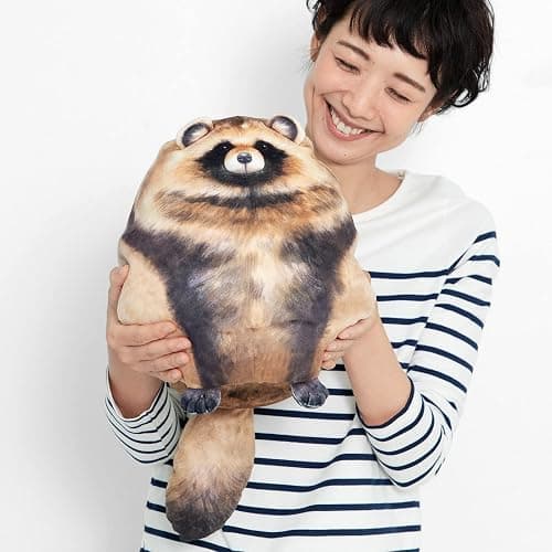 Raccoon Plush, 10" Raccoon Stuffed Animal, Cute Plushies for Girls, Soft Plush Pillow, Kitten Throw Pillow Doll Big Plush Toy Decoration Doll Gift for Kids Boys Birthday Christmas thumbnail 2