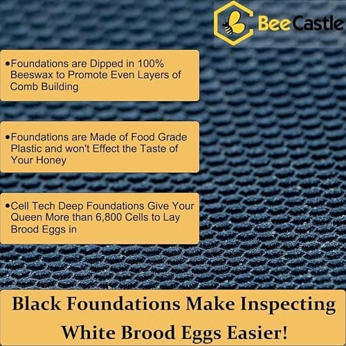 BeeCastle 10 Frame Langstroth Bee Hive Coated with Beeswax Includes Beehive Frames and Waxed Foundations (2 Deep Boxes & 1 Medium Box) thumbnail 7