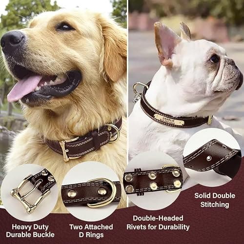 Personalized Dog Collar - Custom Leather Dog Collar with Engravable Nameplate - Durable Name Tag Collar - Customizable Dog Collar - Comfortable ID Collars for Small, Medium, Large Dogs (Small) thumbnail 2