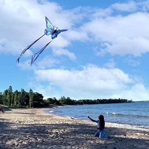 Kaiciuss Butterfly Kites for Kids and Adults, Easy to Fly Large Single Line Kite for Boys and Girls - 55" x 28" Beach Kite for Beginners, 300ft String Handle Included thumbnail 4