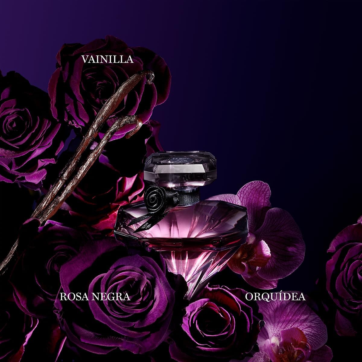 Lancôme, La Nuit Trésor EDP, Perfume Feminino thumbnail 2