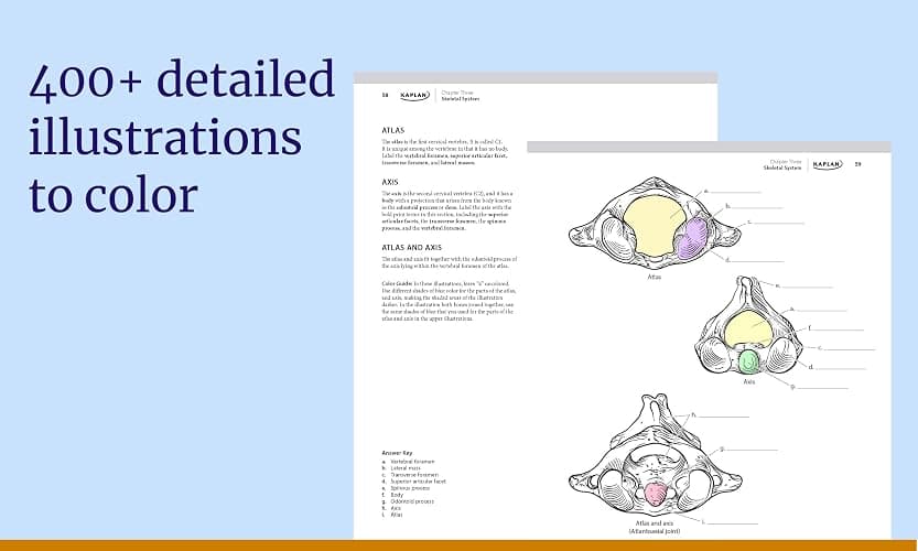 Anatomy Coloring Book with 450+ Realistic Medical Illustrations with Quizzes for Each (Kaplan Test Prep) thumbnail 3