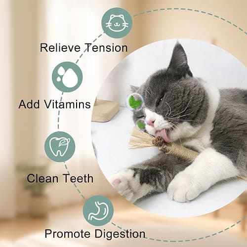 CUUOOT 7-in-1 Kitten Toys for Indoor Cats with Washable Adhesive Suction Cup, Hanging Interactive Cat Toys, Silvervine Stick and Sisal Chew Rope Catnip Teething Toy for Bored Kitten thumbnail 7