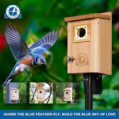 SISTERBIRD 2 Pack Bird Houses for Outside Clearance with Copper Guard, Cedar Bird House Outdoor, Bluebird Finch Swallow Wren Chickadee Assembly Required thumbnail 8