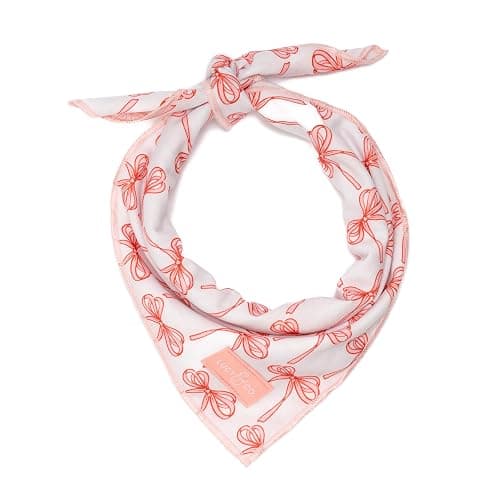 Lucy & Co. Ballet Bows Bandana - Durable Comfortable Dog Bandana - Machine Washable - Designer Puppy Accessory - Small White & Pink Bows - Image 1