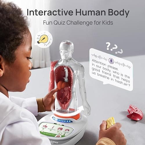 Science Can Human Body Model for Kids, Interactive Human Anatomy Talking Model - 11 Inch Realistic Anatomical Assembly Kit, 15PCS Removable Parts & Guide, Educational STEM Toys Gifts for Kids Aged 6+ thumbnail 6