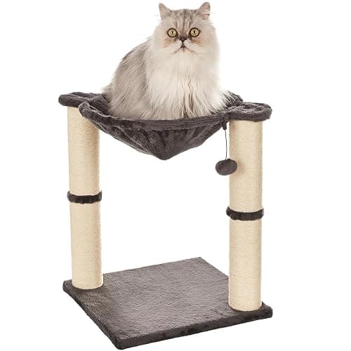 Bowl Bed for Poe! - Image 1