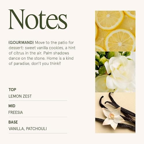 LA JOLIE MUSE Vanilla Bomb Candle –Vanilla, Lemon Zest & Patchouli | 10 oz Natural Soy Wax | 55 Hours Clean Burn | Gift-Ready for Hosts, Gatherings | Elegant Home Décor thumbnail 4