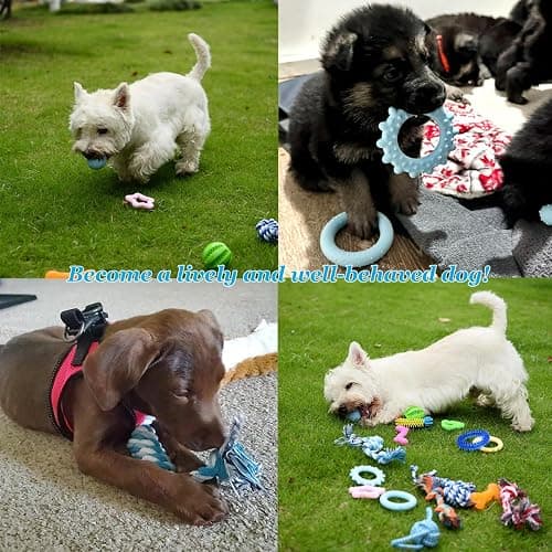 PawsAion 20 Pack Puppy Chew Toys for Teething & Fun (Chew Toys for Puppies 0-6 Months Bundle with Various Rubber Rings, Rope Toys and Balls for Interactive Play, Teeth Cleaning & Relief thumbnail 6