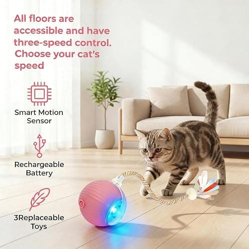 Interactive Cat Toy Ball, Automatic Cat Toys for Indoor Cats with 3 Modes | LED Light, 3 Replaceable Tails, Rechargeable Rolling Toy with Smart Sensor for Kittens & Adult Cats,USB Rechargeable thumbnail 2