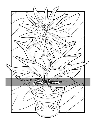 Minimalist Art: Adult Coloring Book for Women and Teens with Easy Boho Designs for Stress Relief and Relaxation (Easy Coloring Books) thumbnail 30
