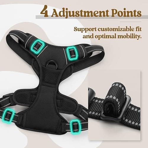 rabbitgoo Dog Harness, No Pull for Large Dogs with 2 Leash Clips, Pet Vest | No Choke with Handle, Adjustable Soft Padded, Reflective, Easy Control for Walking, Black, Large thumbnail 4