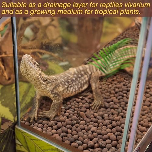 ZeeDix Reptile Substrate Leca Balls - 10LBS Organic Expanded Clay Pebbles, Bioactive Terrarium Bedding for Reptile Tank Habitat Accessories, Ideal for Bearded Dragon, Tortoise, Gecko, Snake & Frog thumbnail 6