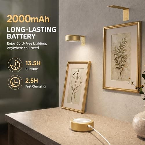 EZVALO Picture Lights for Wall, 2000mAh Rechargeable Battery Magnetic Poster Lights with 3 Color Temps & 12 RGB, Remote Dimmable Timer Painting Light, Wall Decor Light for Art Display, Frame (3 Pack) thumbnail 4