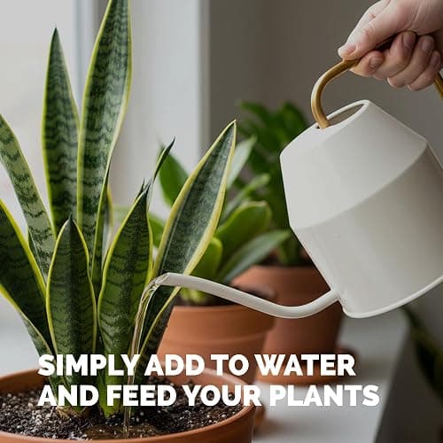 Indoor Plant Food, Complete Liquid Fertilizer for Houseplants, 8oz | Encourages New Growth, Kelp-Enriched Formula, Liquid Concentrate, Gentle for Weekly Feeding, All Indoor Plant Varieties thumbnail 5