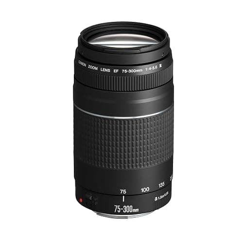 Canon EF 75-300mm F4.0-5.6 III Zoomobjektiv (58mm Filtergewinde) schwarz - Image 1