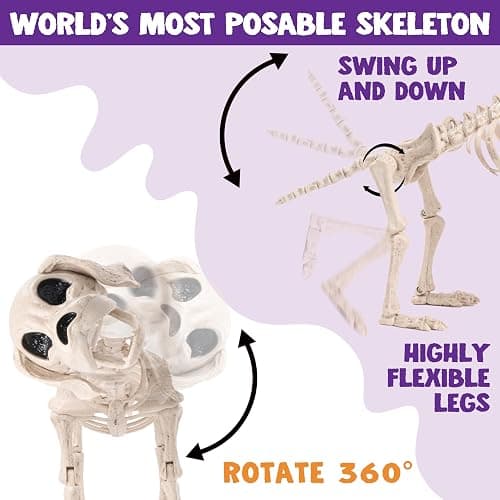 JOYIN Posable Halloween Dog Skeleton Full Body Posable Joints Realistic Skeleton Puppy with Movable Joints for Halloween Decoration, Graveyard Party Decor (9.8” X 4.7” X 12.6”) thumbnail 5