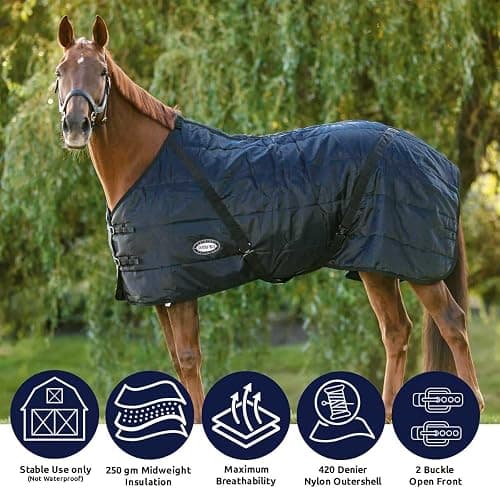 Country Pride Sentinel Channel Quilt Horse Stable Blanket, Midweight Open Front, 420D Nylon Outer Shell, 250g Poly-Fill Insulation, Wither Protection, Adjustable Leg Straps, Bias Surcingle (54,Black) thumbnail 7