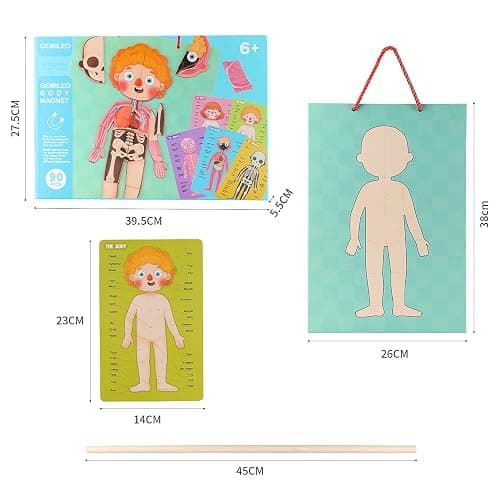 Human Body Puzzle for Kids Toddlers 90PCS Magnetic Boy Girl Anatomy Play Set Body Parts Organs Muscles Skeleton and Bones Wooden Puzzle Toys Aged 3+ Educational Learning Preschool Toys thumbnail 3