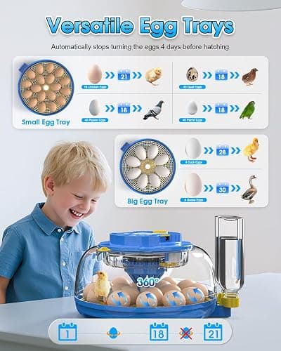 Incubators for Hatching Eggs,18 Egg Incubator with Automatic Egg Turning and Humidity Control,Egg Candler,Air Vent,360° Viewing for Chicken,Duck Eggs,Ideal for Farm,Classroom,Home Use thumbnail 5