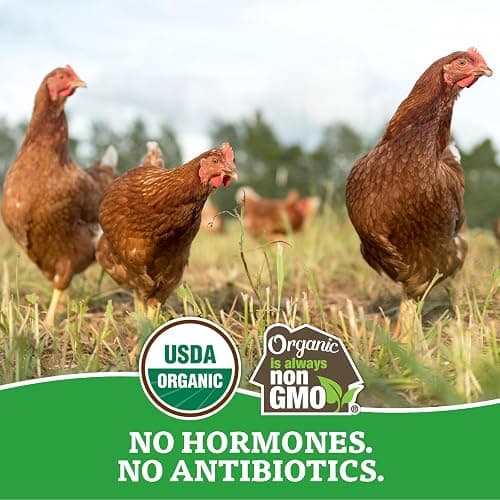 Organic Eggs Free Range Large Brown, 12 Count thumbnail 5