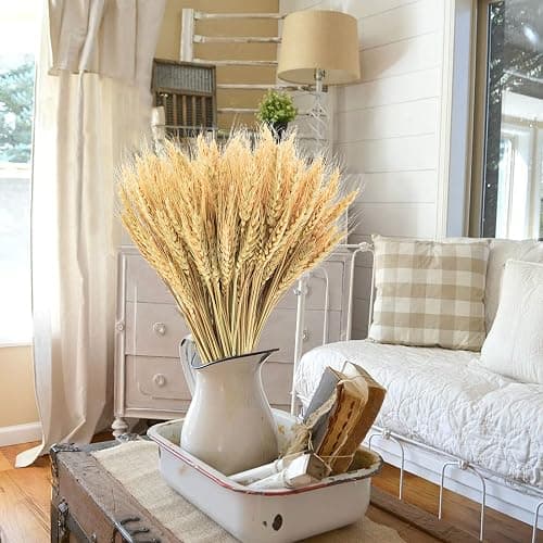 Uieke 17.7 Inches Dried Wheat Stalks, 100 Stems Dried Flowers 100% Natural Wheat for Home Kitchen Wedding Party Table Centerpiece Harvest Wreath Boho Farmhouse DIY Decoration thumbnail 8
