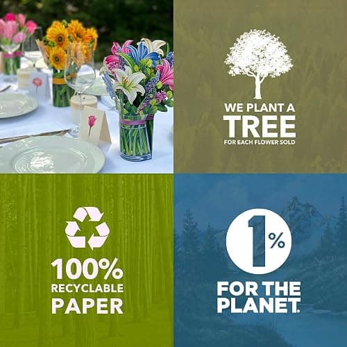 Freshcut Paper Pop Up Cards, Birch Poinsettia, 10 Inch Life Sized Forever Flower Bouquet 3D Popup Greeting Cards, Christmas Card, Holiday Card, Blank Notecard & Envelope - Birch Poinsettia thumbnail 9