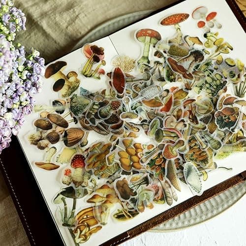 Doraking Mushroom Stickers - 100PCS Waterproof Paper Decals for Scrapbook Decoration, Sulfuric Adhesive, Irregular Shape, All in One Variety Pack thumbnail 4