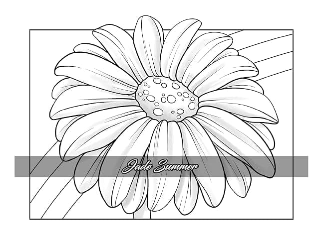 Minimalist Art: Adult Coloring Book for Women and Teens with Easy Boho Designs for Stress Relief and Relaxation (Easy Coloring Books) thumbnail 40