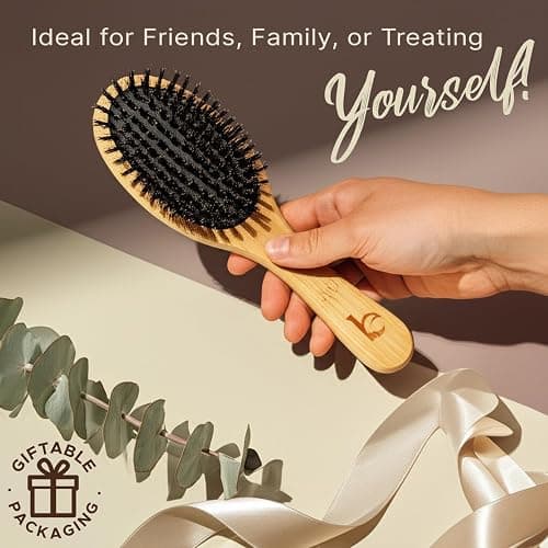 Boar Bristle Hair Brush for Women and Men, Natural 100% Soft Boars Hairbrush for Fine and Thin Hair thumbnail 6