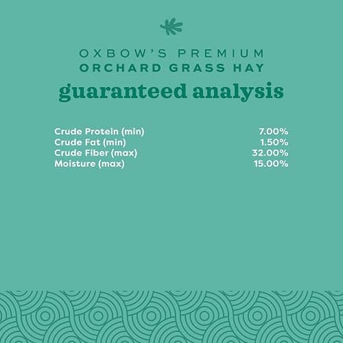Oxbow Animal Health Orchard Grass, Guinea Pig Hay, Rabbit Hay, Small Pet Bunny Supplies, All Natural Grass for Guinea Pig, Bunny, Chinchilla & Hamster, Oxbow Rabbit Supplies for Bunnies, 9 lb. box thumbnail 11