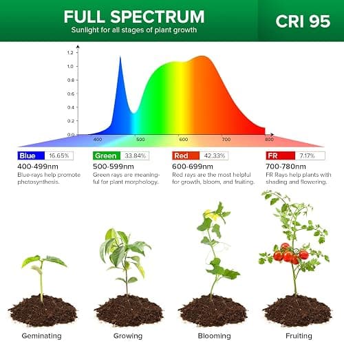 SANSI Grow Lights for Indoor Plants, Pot Clip LED Plant Light for Growing Full Spectrum, Plant Growing Lamp 4-Level Dimmable Auto On Off 3 6 12 Hrs Timer for Small Plants, White 5V 3-Pack ETL Listed thumbnail 6