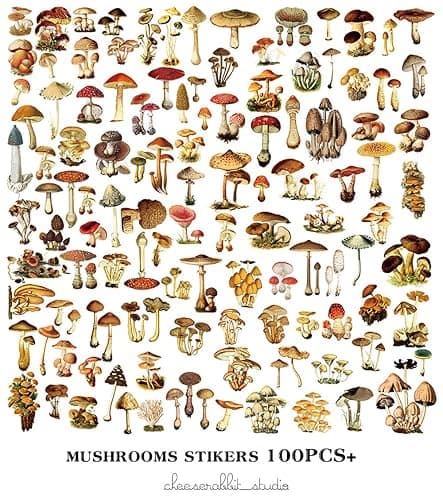 Doraking Mushroom Stickers - 100PCS Waterproof Paper Decals for Scrapbook Decoration, Sulfuric Adhesive, Irregular Shape, All in One Variety Pack thumbnail 3