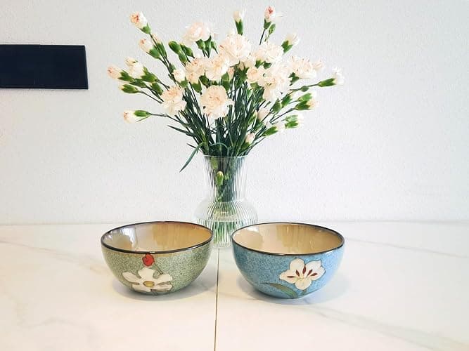 Ceramic Bowls For Kitchen, 28oz - Bowl Set of 4 - For Cereal, Salad, Pasta, Soup, Ramen, Serving etc - Dishwasher, Microwave, and Oven Safe - For Breakfast, Lunch and Dinner (Blue+Red+Green+Pink) thumbnail 5