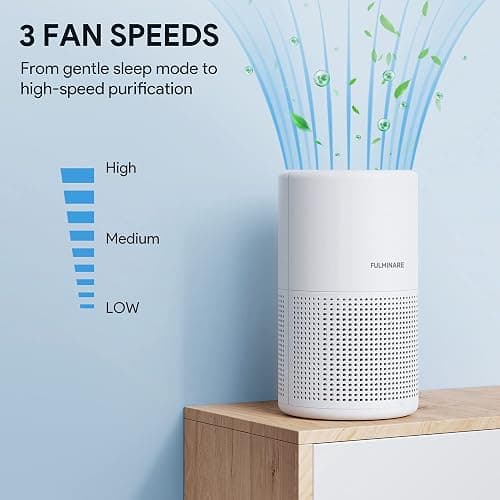 Air Purifiers for Bedroom, FULMINARE H13 True HEPA Filter | Remove Pet Hair, Smoke, Odors，Quiet Air Cleaner With Night Light, Portable Small Air Purifier for Home, Office, Living Room thumbnail 5
