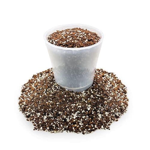Gardenera Premium House Plant and Tropical Plant Potting Soil - Re-Potting Soil for All Types of Indoor House Plants - 1 Quart - 1 Quart - TROPICAL HOUSE PLANT POTTING MIX thumbnail 5