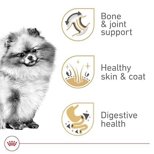 Royal Canin Pomeranian Adult Wet Dog Food, 3 oz, 6-Pack | Skin & Coat Support with EPA & DHA, Bone & Joint Support, For Adult Pomeranians, Loaf in Sauce, Developed by Veterinarians thumbnail 4