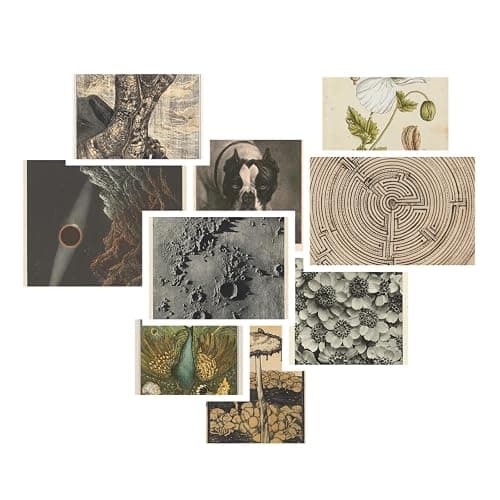 Leifyson 70PCS Vintage Wall Collage Kit - Create Aesthetic Magic with Nature-Inspired Posters and Room Decor 4x6 Inch thumbnail 5