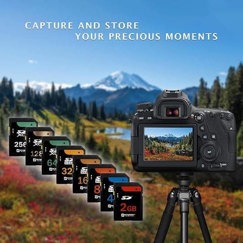 Casio Exilim EX-Z750 Digital Camera Memory Card 2GB Standard Secure Digital (SD) Memory Card thumbnail 2