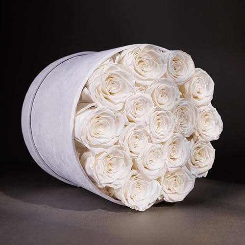 17 Flowers in a Luxury Suede Box, Birthday Gifts for Women, Preserved Flowers, Mothers Day Roses Gift for Mom, White - White - 17 Roses thumbnail 2