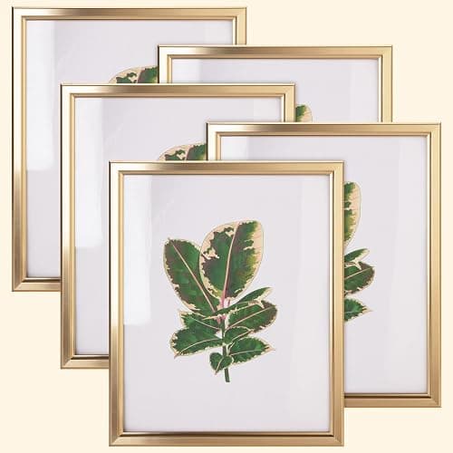 euwazram 8x10 Picture Frame - Set of 5, Matte Gold 8 x 10 Photo Frame with High-Definition Glass, Modern 8x10 frame for Tabletop or Collage Wall, Perfect Christmas Frame - Image 1