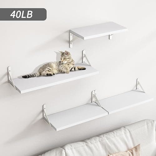 YGEOMER Floating Shelves for Wall, Different Sizes White Wall Shelves for Living Room, Bathroom, Bedroom, Kitchen, Home Decor (Set of 4) thumbnail 2