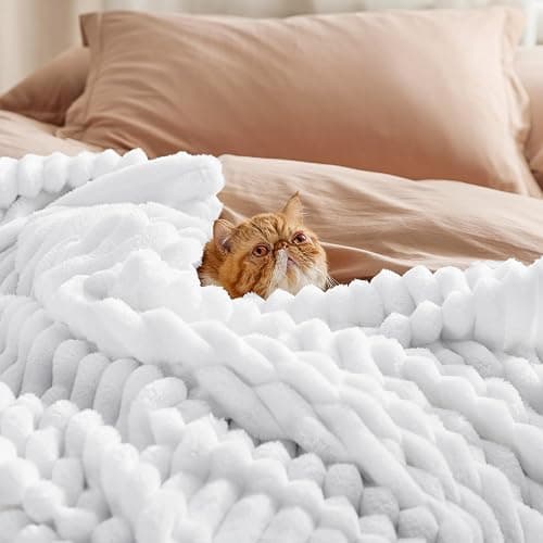 Bedsure GentleSoft King Throw Blanket for Couch - Cozy Soft Blankets for Women, Cute Small Fleece Throws for Girls, Bright White, 108x90 Inches thumbnail 5